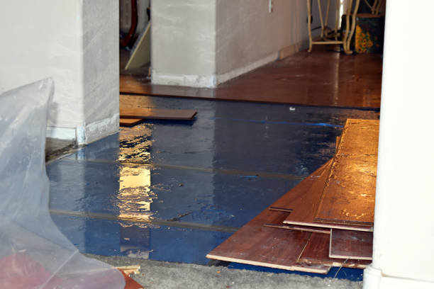 Professional Basement Flood Cleanup technician working in Washburn, IL
